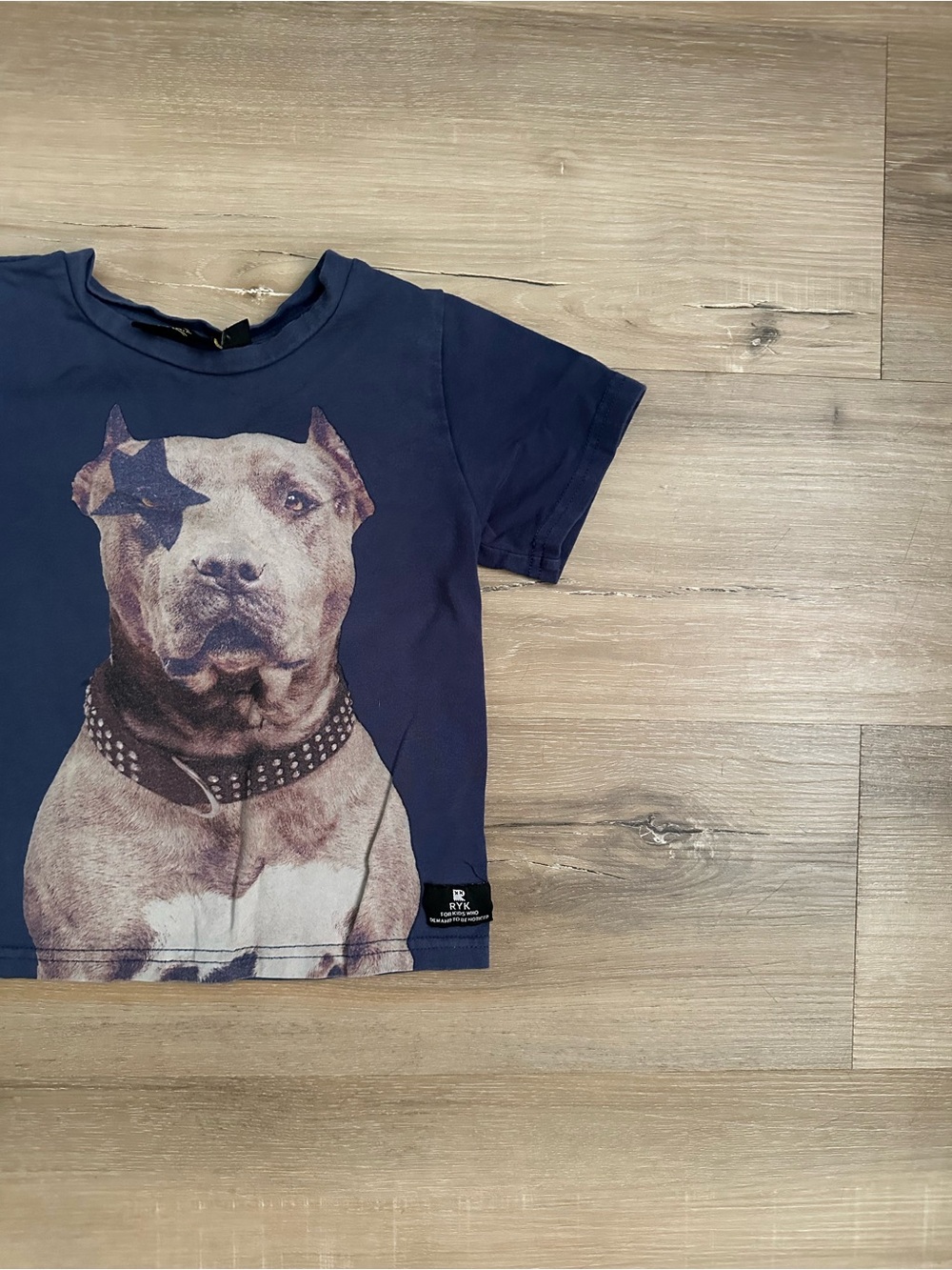 Rock Your Kid Pit Bull Graphic T-Shirt Size 2